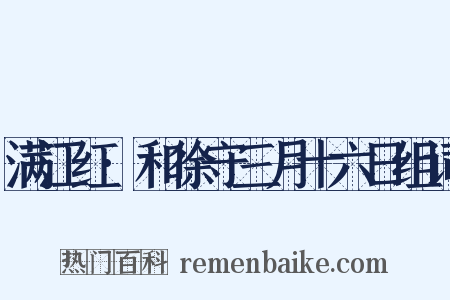 满江红·和徐守三月十六日组词是什么意思的图片